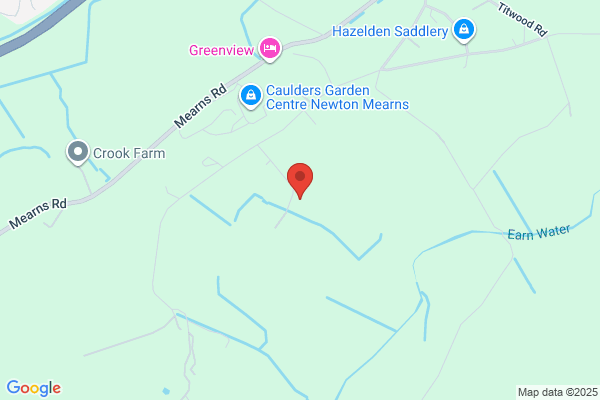 Hazelden Rosettes