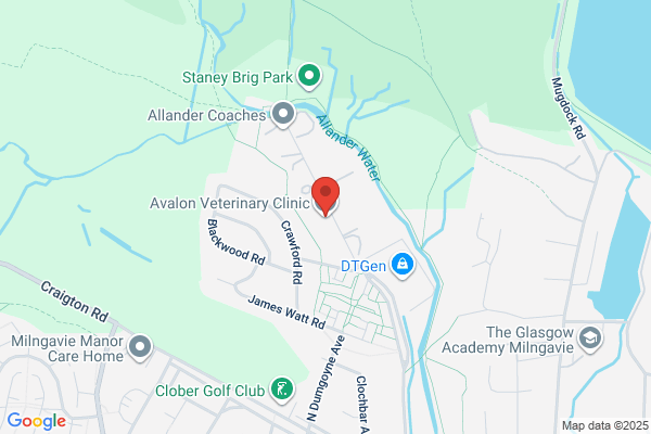 Avalon Veterinary Clinic