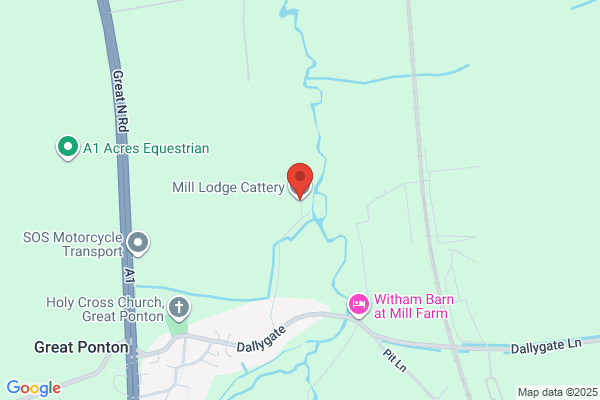 Mill Hill Cattery