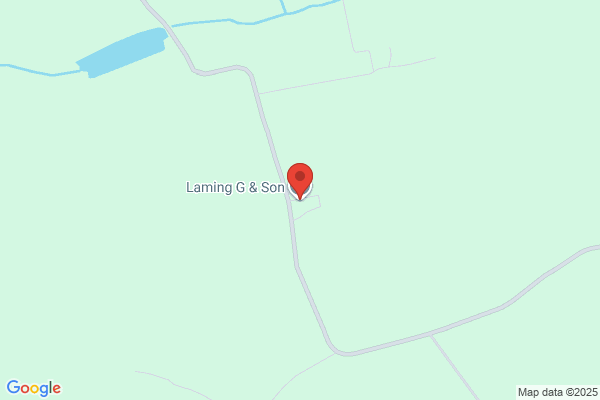 T W Laming & Son