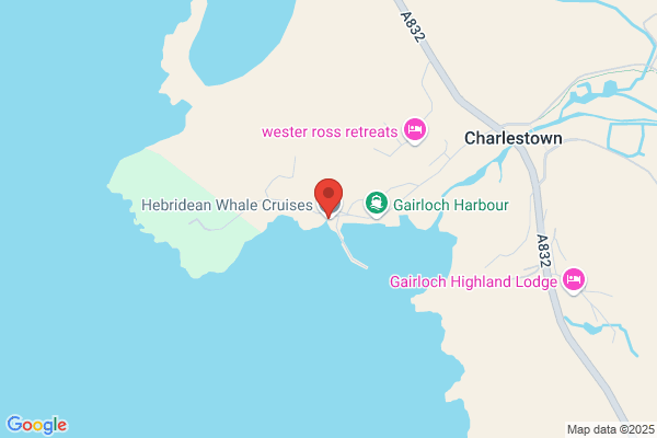 Marine Wildlife Centre