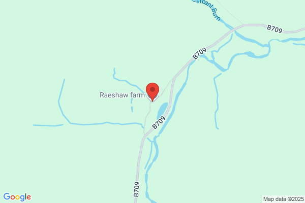 Raeshaw Estates