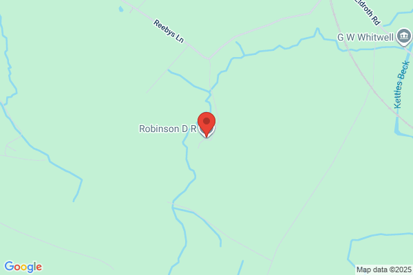 W E Robinson