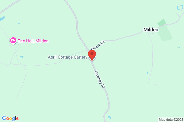 April Cottage Cattery
