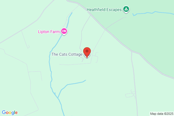 High Springs Cattery