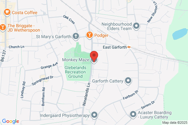 Monkey Maze