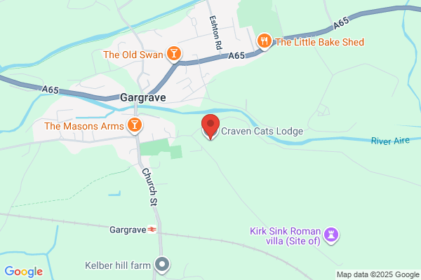 Craven Cats Lodge