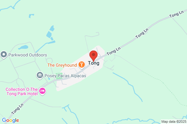 Tongs