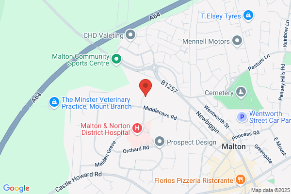 York render specialists