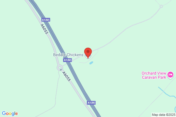 Bedale Chickens
