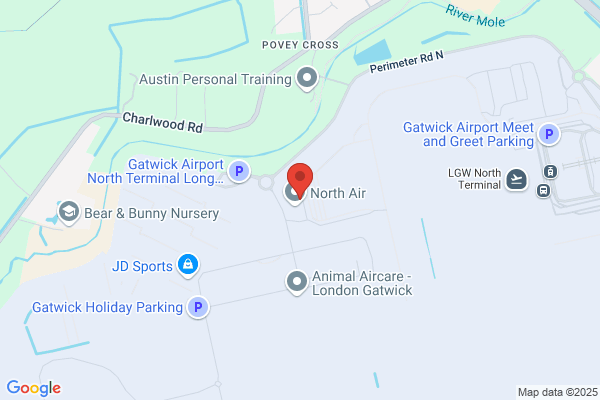 Aircraft Service International Group