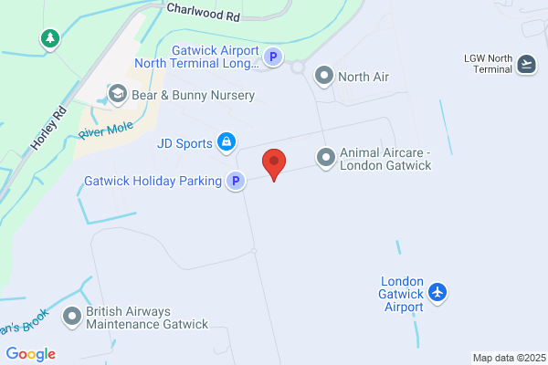 Air Rep Cargo Europe Ltd