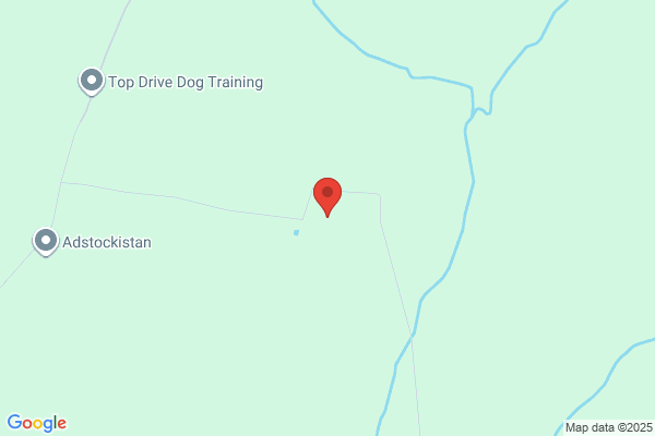 Warmblood Fact Files