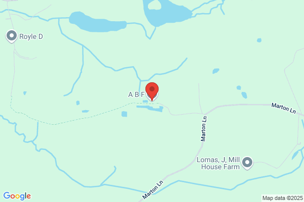Albion