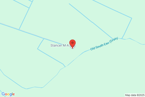 M A Stancer
