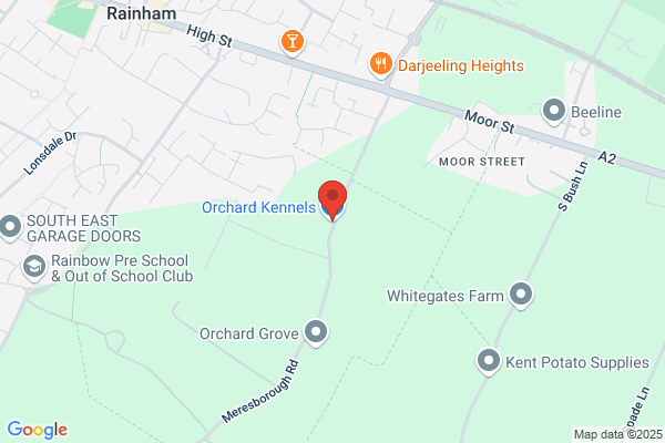 Orchard Kennels