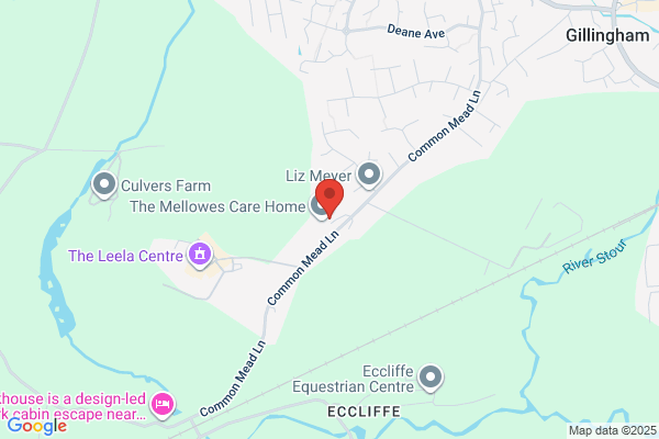 The Mellowes Care Home - Bupa