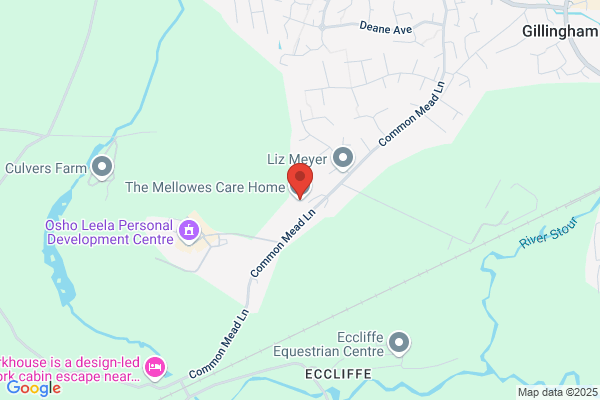 The Mellowes Nursing Home