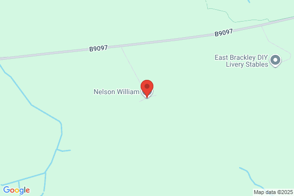 W & T Nelson