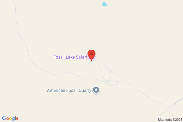 Fossil Fishing