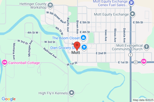 Mott W A