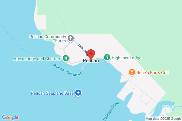 Pelicans
