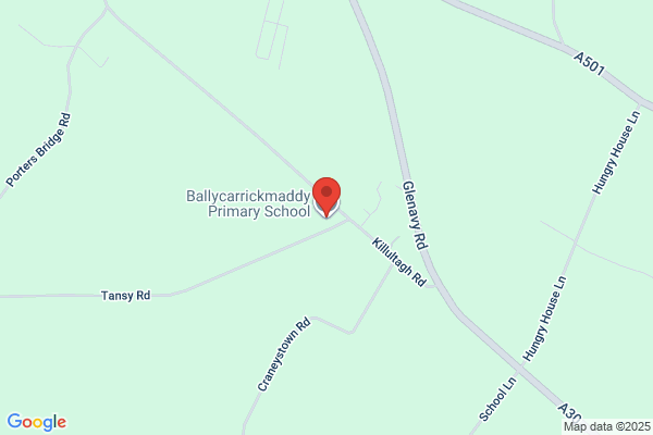 Ballycarrickmaddy Primary School