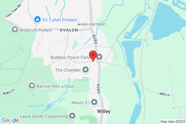 Witley Dental Surgery