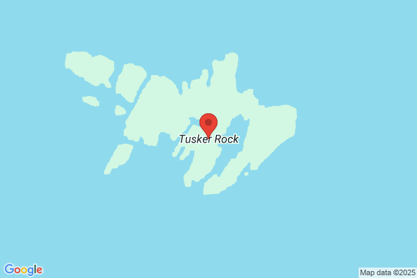 Tusker Rock Interiors
