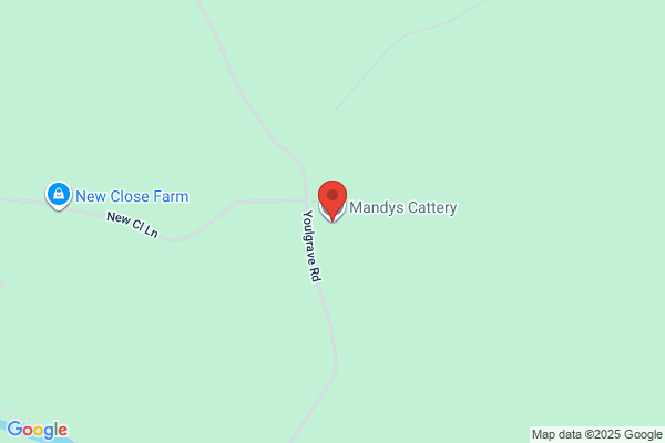 Mandy's Cattery