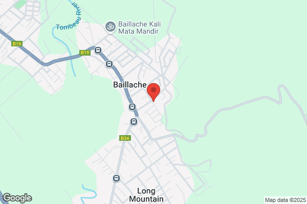 Bus Transport Ltd