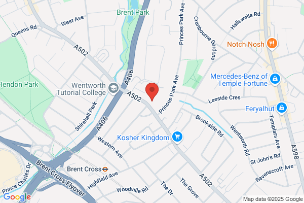 Dr. Benji Schreiber - London Private Rheumatologist