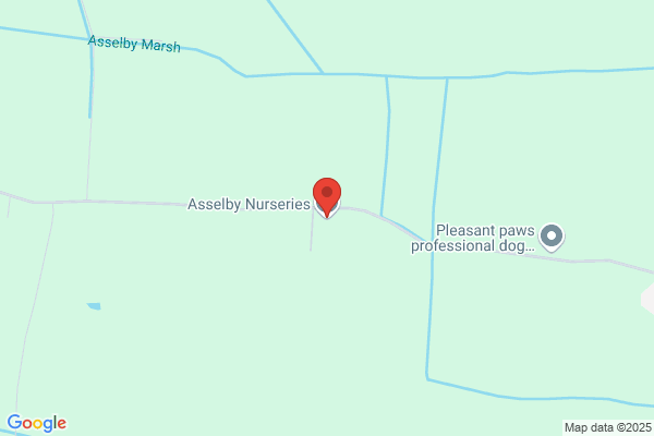Asselby Nurseries