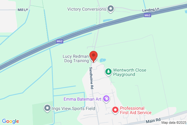 Lucy Heath Dog Training