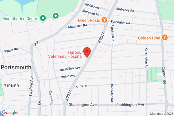 Harbour Veterinary Hospital