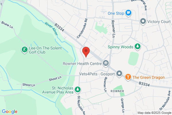 South Coast Tree Surgeons