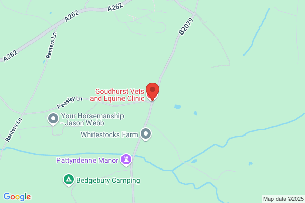 Goudhurst Vets and Equine Clinic