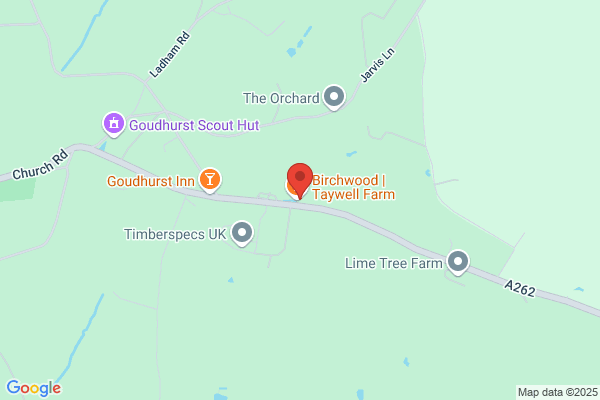 Thyme In The Garden