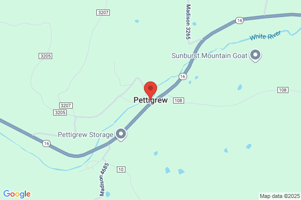 N Pettigrew