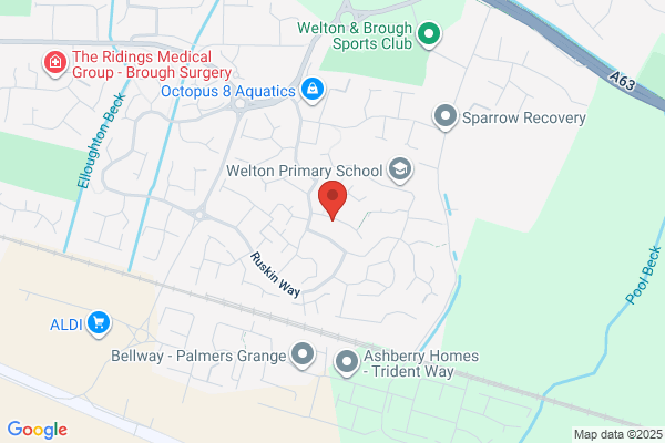 Steve Rooms