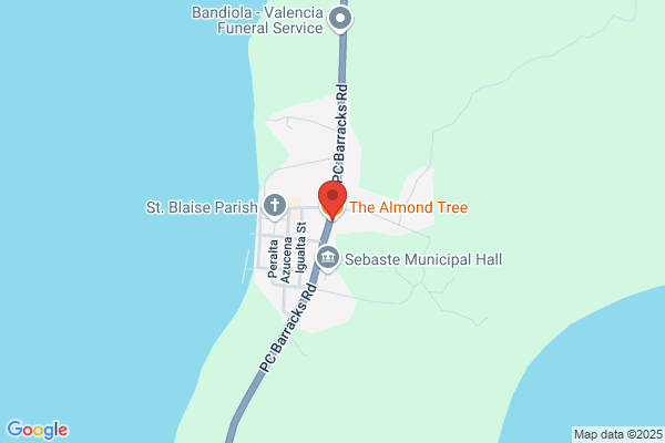 The Almond Tree Book & Coffee Shop