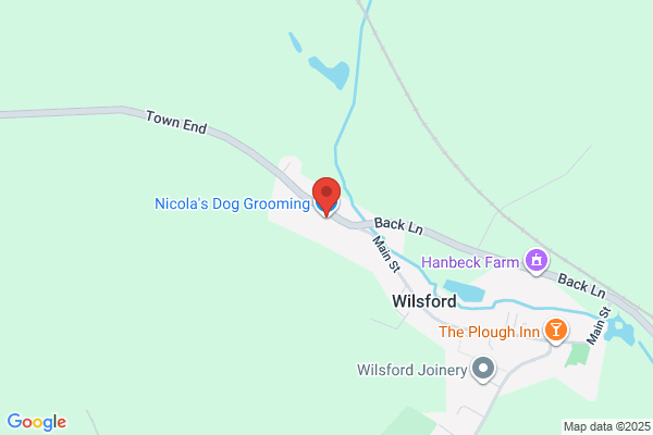 Nicola's Dog Grooming