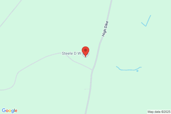 D W Steele