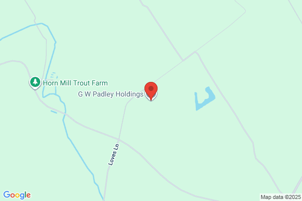 Padley's N P P Holdings Ltd