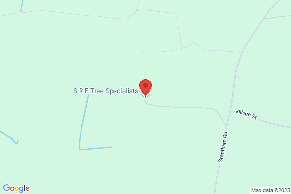 S R F Tree Specialists