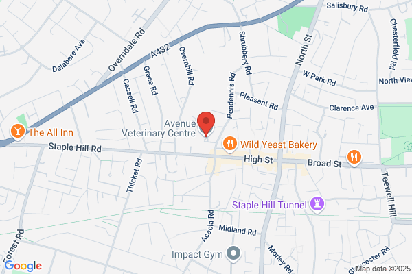Avenue Veterinary Centre