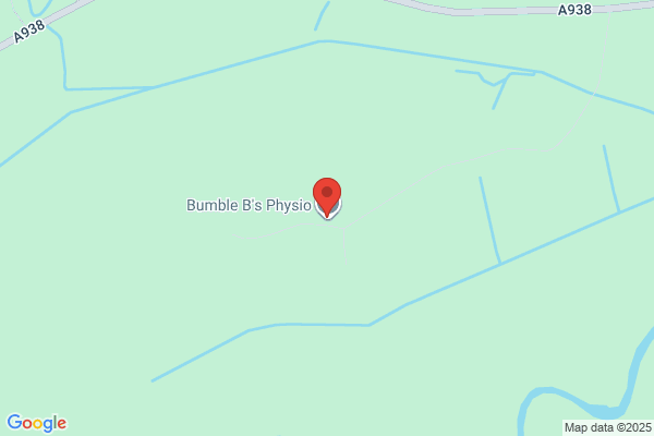Bumble B's Physio