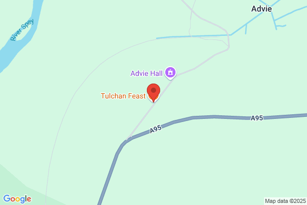 Tulchan