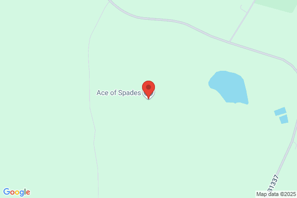 Ace of Spades Excavations