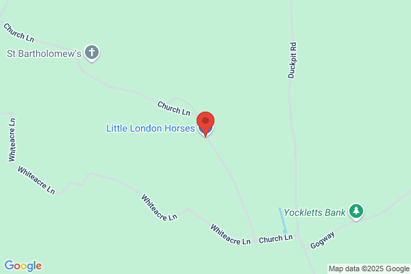 Little London Horses Ltd